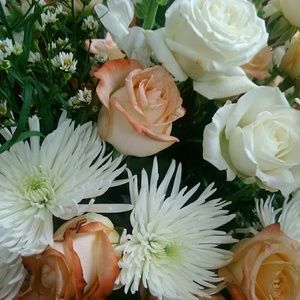 Meet your Posher, Tina